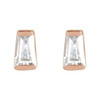 14 Karat Rose Gold .02 Carat Natural Diamond Channel Set Earrings