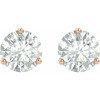 Created Moissanite Earrings in 14 Karat Rose Gold 4 mm Round Forever One Moissanite Earrings