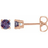 14 Karat Rose Gold 2.5 mm Round Grown Alexandrite Earrings