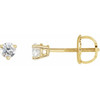 14 Karat Yellow Gold 0.13 Carat Natural Diamond Threaded Post Earrings