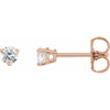 14 Karat Rose Gold 0.25 Carat Natural Diamond Friction Post Earrings