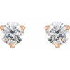 14 Karat Rose Gold 0.25 Carat Natural Diamond Friction Post Earrings
