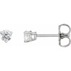 14 Karat White Gold 0.25 Carat Natural Diamond Friction Post Earrings