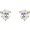 14 Karat Yellow Gold 0.75 Carat Natural Diamond Friction Post Earrings