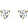 14 Karat Yellow Gold 0.75 Carat Natural Diamond Friction Post Earrings