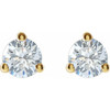 14 Karat Yellow Gold 0.25  Carat Lab Grown Diamond Stud Earrings