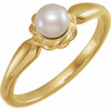 14 Karat Yellow Gold 5-5.5 mm Cultured White Freshwater Pearl Ring