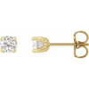 14 Karat Yellow Gold 0.50 Carat Natural Diamond Stud Earrings