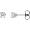 14 Karat White Gold 0.50 Carat Natural Diamond Stud Earrings