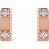 14 Karat Rose Gold .03 Carat Natural Diamond  Two Stone Bar Earrings
