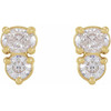 14 Karat Yellow Gold 0.50 Carat Natural Diamond  Two Stone Earrings