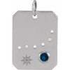 14 Karat White Gold Blue Sapphire and .0075 carat Diamond Capricorn Zodiac Pendant