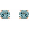 14 Karat Rose Gold 4.5 mm Natural Aquamarine Floral Earrings