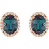 14 Karat Rose Gold 6x4 mm Lab Grown Alexandrite and .04 Carat Natural Diamond Halo Style Earring