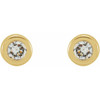 14 Karat Yellow Gold .02 Carat Diamond Micro Stud Earrings