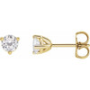 Moissanite Earrings in 14 Karat Yellow Gold 4 mm Round Moissanite Earrings
