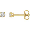 Lab Diamond Stud Earrings in 14 Karat Yellow Gold 0.33 Carats