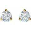 14 Karat Yellow Gold 0.25 Carats Lab Grown Diamond Stud Earrings