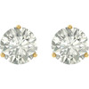 14 Karat Yellow Gold 6mm Round Genuine Charles Colvard Moissanite Earrings