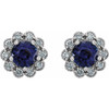 Buy 14 Karat White Gold Blue Sapphire & 0.33 Carat Diamond Earrings