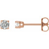 White Diamond Earrings in 14 Karat Rose Gold 0.25 Carat Diamond Earrings