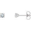 Natural Diamond Earrings in Platinum 0.50 Carat Diamond 4 prong Cocktail Style