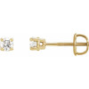 White Diamond Earrings in 14 Karat Yellow Gold 1/3 Carat Diamond Stud Earrings