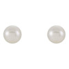 14 Karat White Gold 5.5 mm Cultured White Freshwater Pearl Earrings