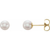 14 Karat Yellow Gold 5.5 mm Cultured White Freshwater Pearl Earrings
