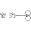 14 Karat White Gold 0.33 Carat Natural Diamond Post Post Earrings