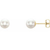 Genuine 14 Karat Yellow Gold 6mm White Akoya Pearl Earrings