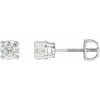 14 Karat White Gold 1 Carat Lab Grown Diamond Stud Earrings