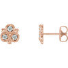 14 Karat Rose Gold 0.20 Carat Lab Grown Diamond Earrings