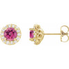 Pink Tourmaline Earrings in 14 Karat Yellow Gold Pink Tourmaline & 1/6 Carat Diamond Earrings