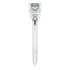 Sterling Silver Natural Gray Spinel and 0.33 Carat Natural Diamond Ring