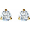 Stud Lab Diamond Earrings in 14 Karat Yellow Gold 0.75 Carat