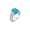 Sterling Silver Natural Turquoise Ring