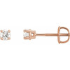 White Diamond Earrings in 14 Karat Rose Gold 1/3 Carat Diamond Stud Earrings