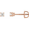 White Diamond Earrings in 14 Karat Rose Gold 1/3 Carat Diamond Stud Earrings.