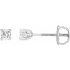 Natural Diamond Earrings in Platinum 1/5 Carat Diamond Stud Earrings.