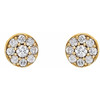 14 Karat Yellow Gold 0.50 Carat Round Genuine Diamond Earrings.