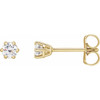 14K Yellow 1/4 CTW Natural Diamond Stud Earrings