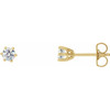 14K Yellow 1/3 CTW Natural Diamond Stud Earrings.