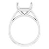 Accented Engagement Ring Mounting in Platinum for Square Stone