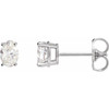 14K White 1/10 CTW Natural Diamond Earrings
