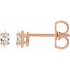 14K Rose 1/4 CTW Natural Diamond Earrings