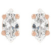 14K Rose 1/4 CTW Natural Diamond Earrings