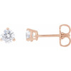 14K Rose 1/3 CTW Lab-Grown Diamond Stud Earrings