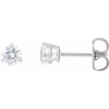 14K White 1/2 CTW Lab-Grown Diamond Stud Earrings