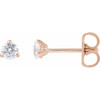 14K Rose 1/4 Lab-Grown Diamond Cocktail-Style Stud Earrings